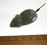 funny mouse wind up that runs with spinning tail