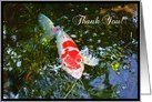 Thank You Koi Fish Card