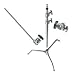 Avenger A2030DKIT Steel 40-Inch Detachable Base C-Stand with Grip Kit (Chrome)