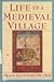 Life in a Medieval Village