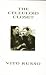 The Celluloid Closet: Homosexuality in the Movies (Triangle Classics)
