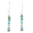 Apatite Gemstone and Swarovski Austrian Crystal Bead Dangle Earrings with Sterling Silver and Gold Vermeil, #7945