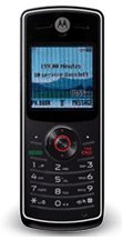 Motorola TracFone w175 Pay-As-You-Go Cell Phone
