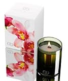 Dayna Decker Large Botanika Candle - Yasmin - 16 oz. - B000XBRILA