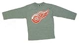 Detroit Red Wings Kids Grey Long Sleeve T-Shirt