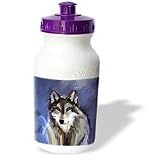 Dinzas Art Animals - Wolf - Water Bottles