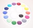 14 COLOR PAINT WHEEL Snazaroo Face Painting Pallet