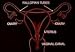Classic Menstruation Films