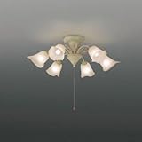 �R�C�Y�~ �V�����f���A�}���[�̕��� BAE-7801