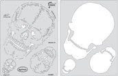 Artool Template Fhsk21 Heads-up