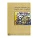 Copan: The Rise and Fall of an Ancient Maya Kingdom