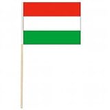 Arkansas Flag and Banner