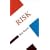 Risk (Concepts in the Social Sciences)