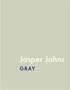 Jasper Johns: Gray (Art Institute of Chicago)