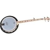 Deering Goodtime 2 5-String Banjo