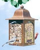 Birdscapes® 367 Tulip Garden Latern Feeder, 5 lb capacity