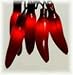 Red Hot Chili Pepper String Lights - Set of 35 - Red - Cinco de Mayo Lights