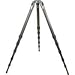 Gitzo GT5561SGT Series 5 Carbon 6X 6 Section G-Lock Giant Systematic Tripod - Replaces GT5560SGT (Black)