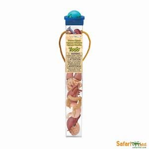 Safari human organs toob