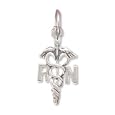 Registered Nurse Caduceus Charm