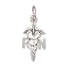 Sterling Silver Charm 13/16 in tall Registered Nurse Caduceus