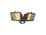 Click for more about Byron 2x Halogen 150w Floodlight - Byron.