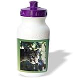 Florene Animals - Florida Green Eyed Panther - Water Bottles