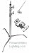 Avenger A225SK4 A225S 40-Inch Turtle Century Stands D200 Grip Heads and D520L 40-Inch Extension Arms - Pack of 4 (Chrome)