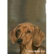 Dachshund Smooth Flag- 28 width x 40 length