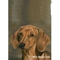 Dachshund Smooth Flag- 28" width x 40" length