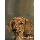 Dachshund Smooth Flag- 28 width x 40 length
