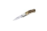 Puma TEC Mini-Pocketknife, AISI 420, Stag handle-Handled