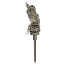 Click here to buy Quiver Critter�.