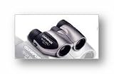 Olympus Roamer 10x21 DPC I Compact Porro Prism Binocular (Gray)