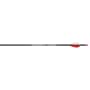 Carbon Express 250, 2-Inch Vane Mutiny Arrow (Pack of 6)
