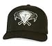 West Tennessee Diamond Jaxx Batting Practice Cap by New Era - 7 1/8