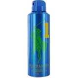 RALPH LAUREN - The Big Pony Collection Blue #1 For Men Deodorizing Body Spray 6 oz