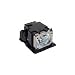 Electrified VT-60LP / 50022792 Replacement Lamp with Housing for NEC Projectors