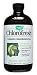 Chlorofresh Liquid Mint - 16 oz - Liquid