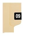 Year Labels, Color-Coded, Self-adhesive, 2009 250/PK, Black (SMD67909) Category: End Tab Label File Folders