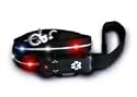 Visiglo Lighted Dog Leash - Red, White & Blue LED (4 ft)