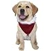 Velvet Christmas Dog Bandana Large
