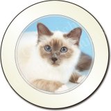 BIRMAN CAT Tax Disc Holder