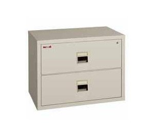 FIREKING FIREPROOF LAT 2DRW FIL CAB PLAT [ STAT_FK31817 ]