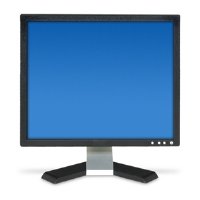 Dell E178FP 17 LCD Monitor