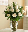 Same Day Flower Delivery One Dozen Long-Stem White Roses