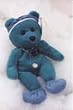 STAR #23 E.R. Hunk Bear - Reminds Me of George Clooney