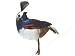 Accent Design Floral and Garden Accents Wildlife Bird Quail 3 1 2 Standing, Feather, Brown Blue Orange White