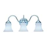 Bathroom Fixtures Sea Gull Lighting 40022