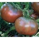 21xKb2eRsKL. SL160  Cherokee Purple Tomato Seeds 40 Seeds